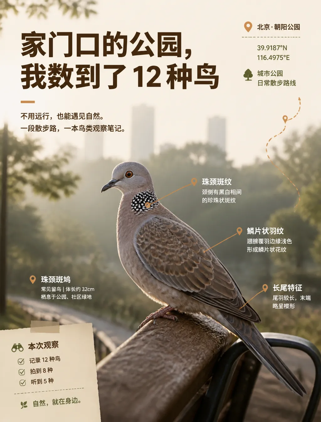 户外自然 · P1 封面