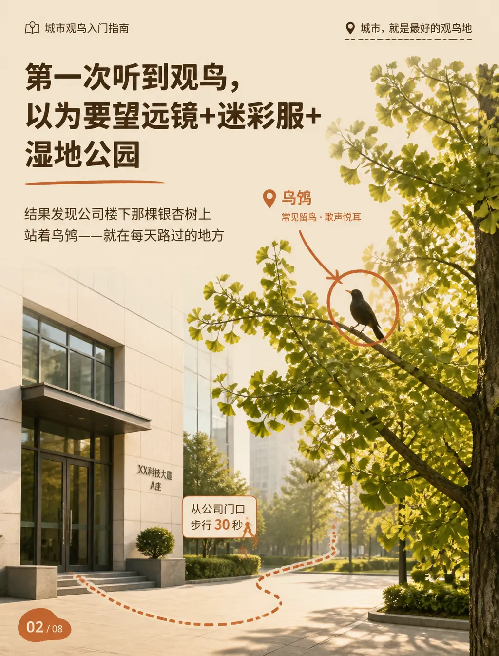 户外自然 · P2 观鸟地图