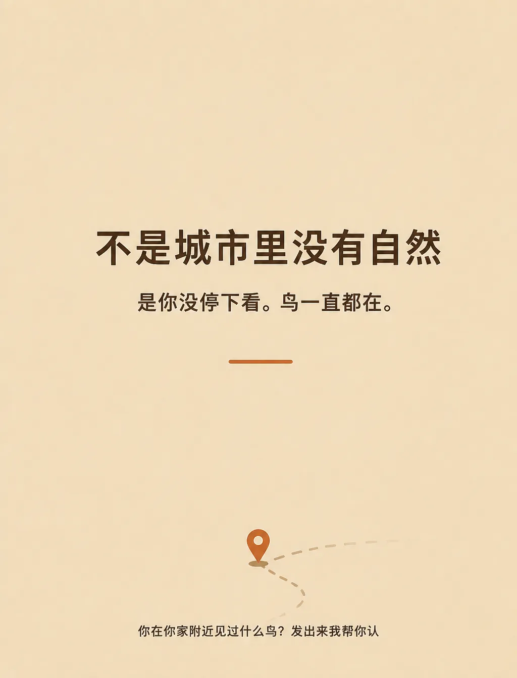 户外自然 · P5 新手装备
